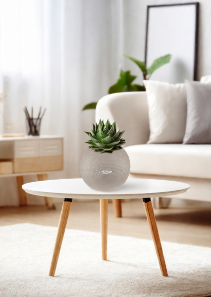 Алоэ Космо 10/20 см в PURO 20 Алоэ Космо 10/20 см в PURO 20