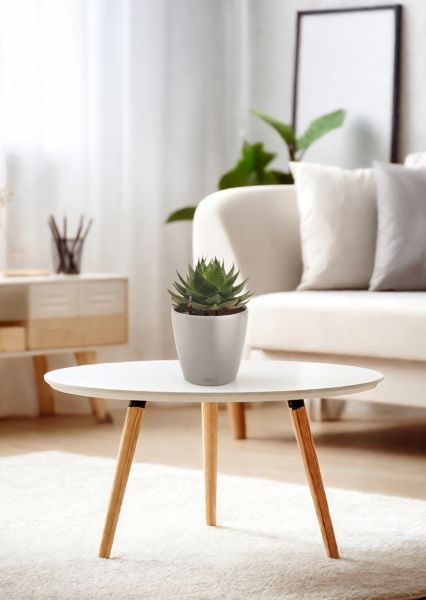 Алоэ Космо 13/20 см в CLASSICO COLOR 18