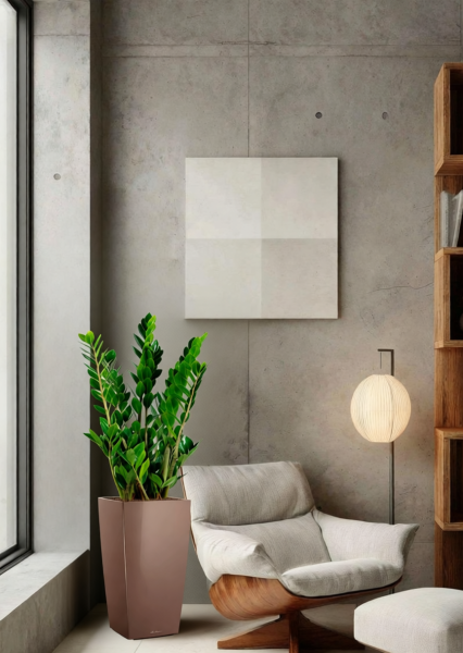 Замиокулькас 17/70 см в CUBICO 22