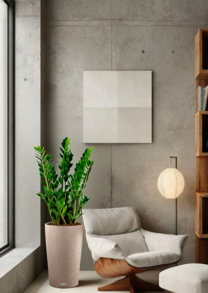 Замиокулькас 17/70 см в CILINDRO 23