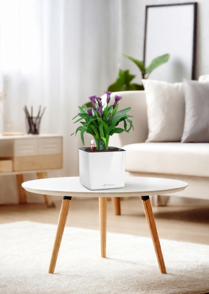 Калла микс фиолетовая 12/35 см в CUBE GLOSSY 14 Калла микс фиолетовая 12/35 см в CUBE GLOSSY 14