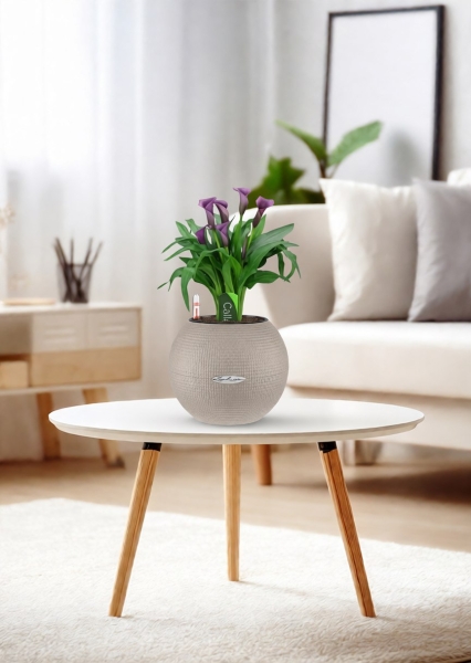 Калла микс фиолетовая 12/35 см в PURO 20 Калла микс фиолетовая 12/35 см в PURO 20