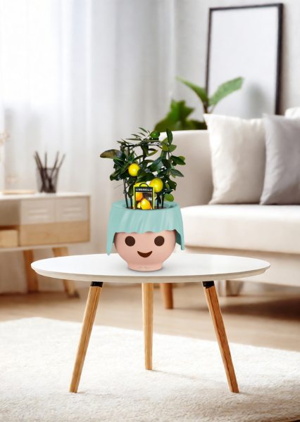 Цитрус Лимон на решетке 12/30 см в OJO Цитрус Лимон на решетке 12/30 см в OJO