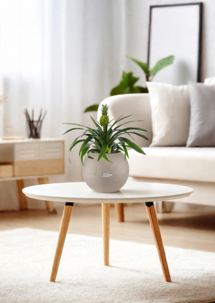 Ананас 12/40 см в PURO 20 Ананас 12/40 см в PURO 20