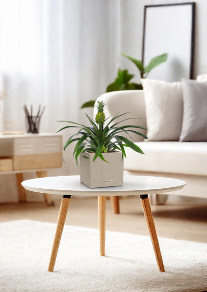 Ананас 12/40 см в CANTO STONE 14 Ананас 12/40 см в CANTO STONE 14