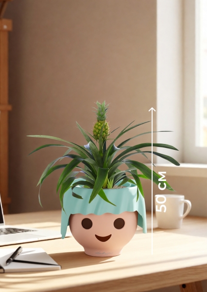 Ананас 12/40 см в OJO Ананас 12/40 см в OJO