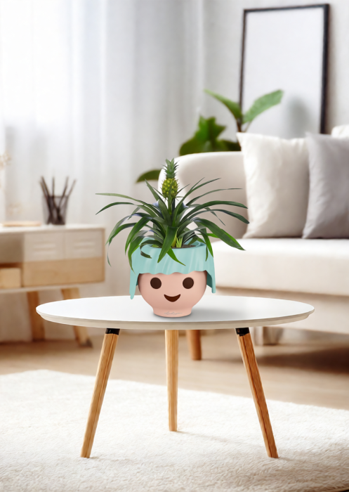 Ананас 12/40 см в OJO