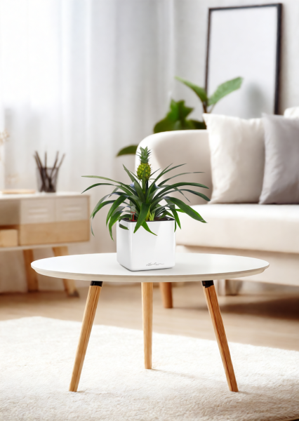 Ананас 12/40 см в CUBE GLOSSY 14 Ананас 12/40 см в CUBE GLOSSY 14