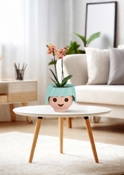 Орхидея Фаленопсис оранжевая 12/60 см в OJO Орхидея Фаленопсис оранжевая 12/60 см в OJO