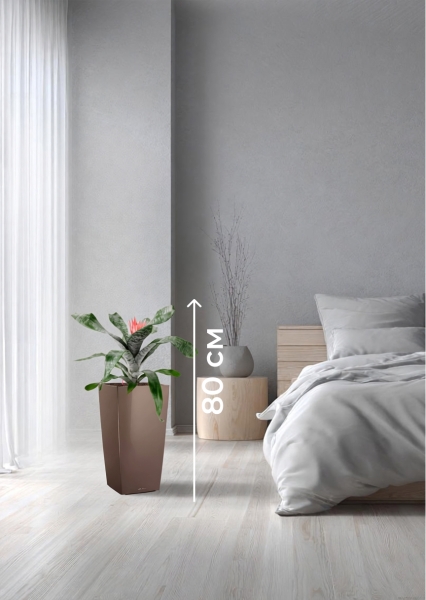 Эхмея 17/50 см в CUBICO 22 Эхмея 17/50 см в CUBICO 22