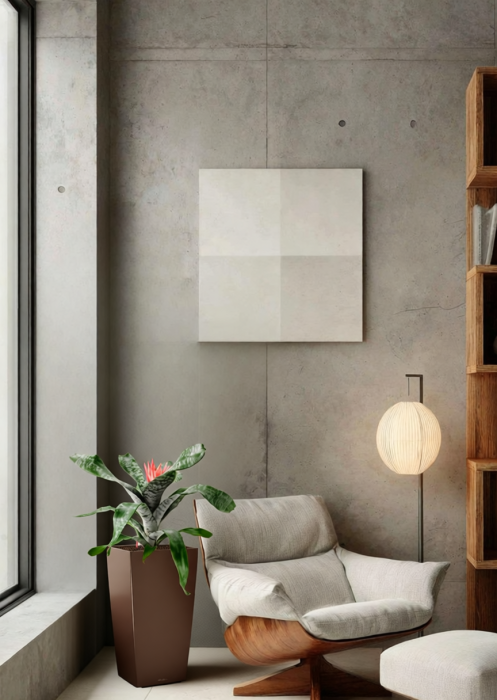 Эхмея 17/50 см в CUBICO 22