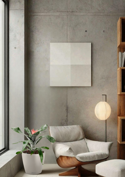 Эхмея 17/50 см в CLASSICO LS 21 Эхмея 17/50 см в CLASSICO LS 21