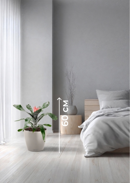 Эхмея 17/50 см в CLASSICO COLOR 21 Эхмея 17/50 см в CLASSICO COLOR 21