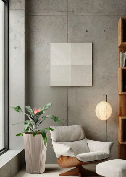 Эхмея 17/50 см в CILINDRO 23 Эхмея 17/50 см в CILINDRO 23