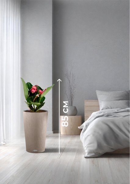 Мединилла 17/55 см в CILINDRO 23