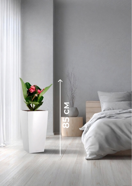 Мединилла 17/55 см в CUBICO 22