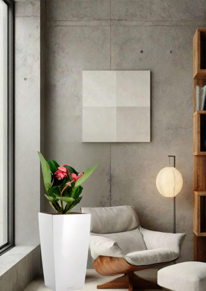 Мединилла 17/55 см в CUBICO COLOR 22