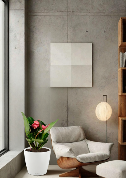 Мединилла 17/55 см в CLASSICO Color 21