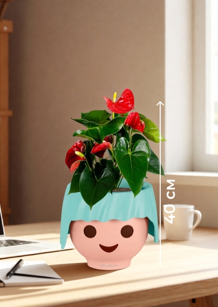 Антуриум Андрианум красный 12/40 см в OJO