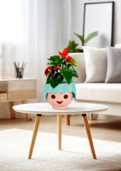 Антуриум Андрианум красный 12/40 см в OJO