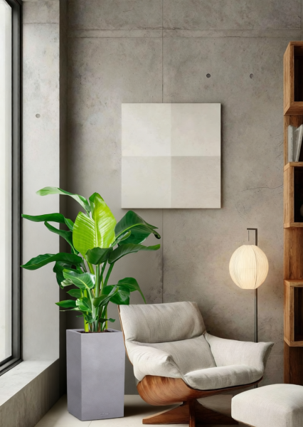 Стрелиция Николай 27/140 см в CANTO STONE HIGH 40