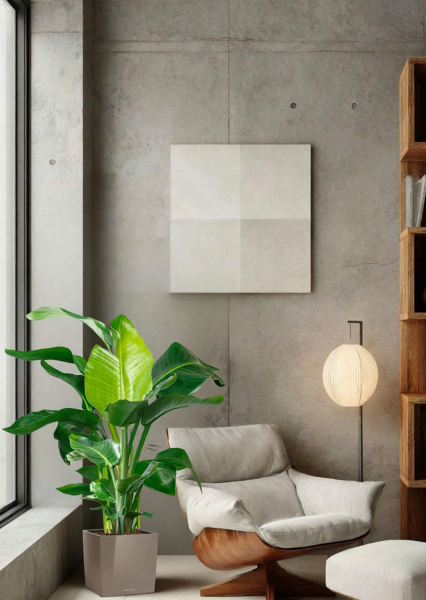 Стрелиция Николай 27/140 см в CUBE 30 Стрелиция Николай 27/140 см в CUBE 30