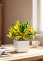 Кротон Еллоу 12/30 см в CUBE GLOSSY 14