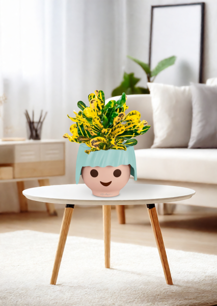 Кротон Еллоу 12/30 см в OJO Кротон Еллоу 12/30 см в OJO