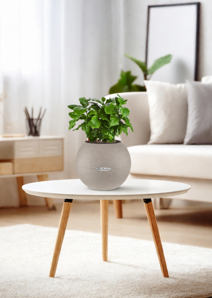 Кофе 12/30 см в PURO 20