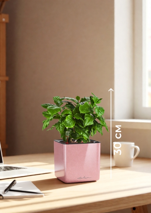 Кофе 12/30 см в CUBE GLOSSY KISS 14