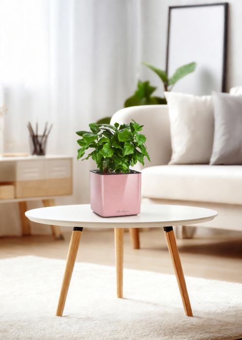 Кофе 12/30 см в CUBE GLOSSY KISS 14