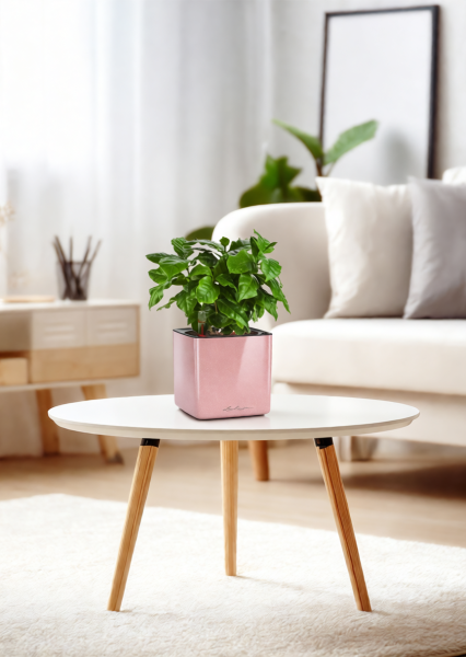 Кофе 12/30 см в CUBE GLOSSY KISS 14