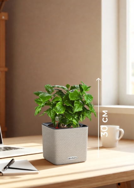 Кофе 12/30 см в CUBE COLOR 14 Кофе 12/30 см в CUBE COLOR 14