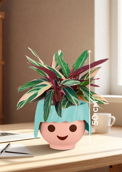 Строманта 12/40 см в OJO