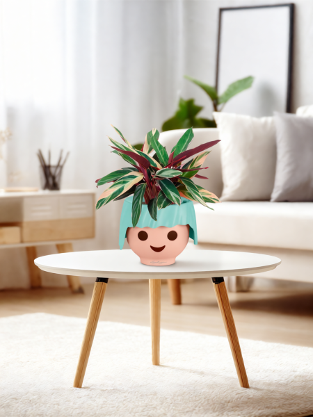 Строманта 12/40 см в OJO