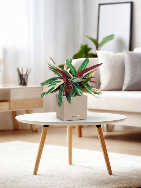 Строманта 12/40 см в CANTO STONE 14