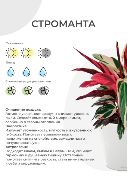 Строманта 12/40 см в CANTO STONE 14