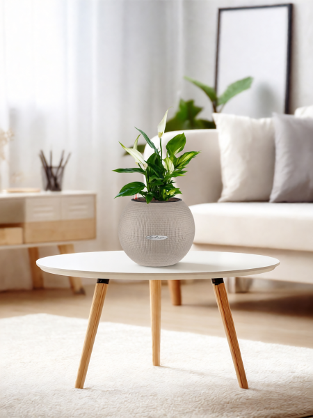 Спатифиллум 12/35 см в PURO 20