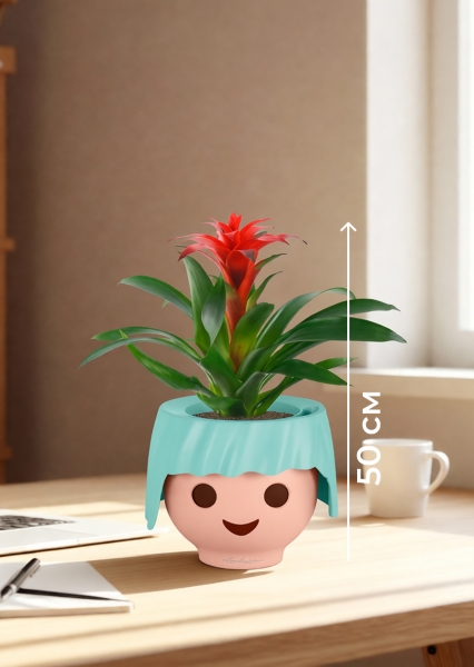 Гузмания Калипсо красная 12/40 см в OJO Гузмания Калипсо красная 12/40 см в OJO