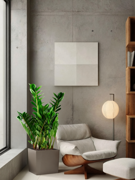 Замиокулькас 21/80 см в CUBE 30 Замиокулькас 21/80 см в CUBE 30