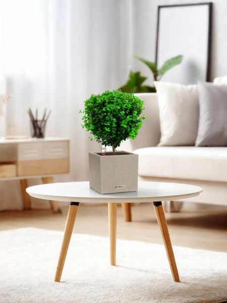 Мирсина 12/30 см в CANTO STONE 14