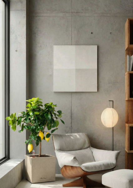 Цитрус Лимон 21/80 см в CANTO STONE LOW 30 Цитрус Лимон 21/80 см в CANTO STONE LOW 30