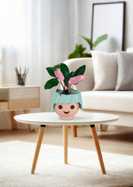 Филодендрон Пинк Принс 12/25 см в OJO Филодендрон Пинк Принс 12/25 см в OJO