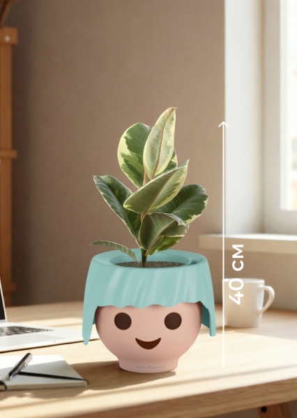 Фикус Эластика Тинеке 12/35 см в OJO Фикус Эластика Тинеке 12/35 см в OJO