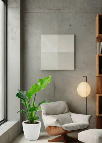 Стрелиция Николай 17/60 см в CLASSICO COLOR 21 Стрелиция Николай 17/60 см в CLASSICO COLOR 21