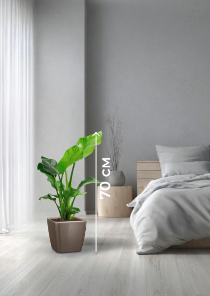 Стрелиция Николай 17/60 в QUADRO 21