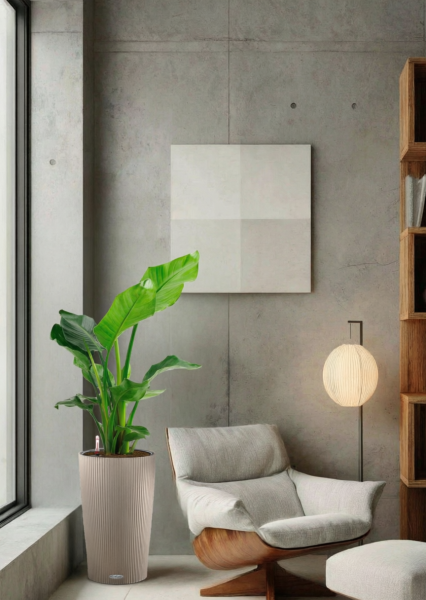 Стрелиция Николай 17/60 в CILINDRO 23 Стрелиция Николай 17/60 в CILINDRO 23