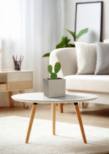 Опунция Мелковолосистая Паллида 6/12 см в CANTO STONE 14 Опунция Мелковолосистая Паллида 6/12 см в CANTO STONE 14