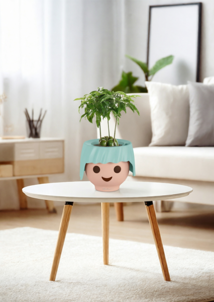 Каштаноспермум 12/40 см в OJO