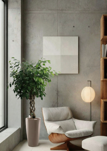 Фикус Бенджамина Экзотика цилиндр 27/120 см в RONDO 32